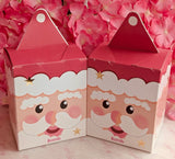 Santa Bae Bae Mini Character Box