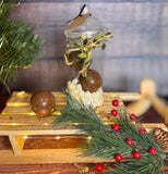 Hot Chocolate Spheres